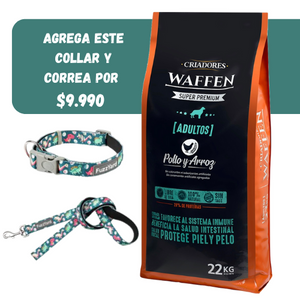 Waffen adulto mascada normal 22 kls + Correa L y collar FuzzYard M( Ref.$ 9.900 + $12.000)