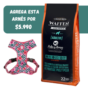 Waffen adulto mascada normal + Arnés ZeeDog M ( Ref.$24.900)
