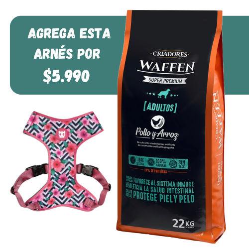 Waffen adulto mascada normal + Arnés ZeeDog M ( Ref.$24.900)