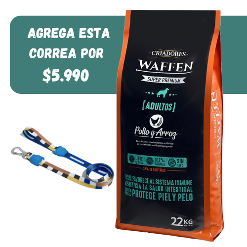 Waffen adulto mascada normal 22 kls + correa Zee Dog S 1,20 cm largo ( Ref.$ 11.900 )