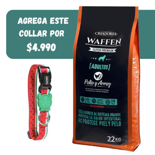 Waffen adulto mascada normal 22 kls + Collar  Zeedog M (Ref.$10.990)