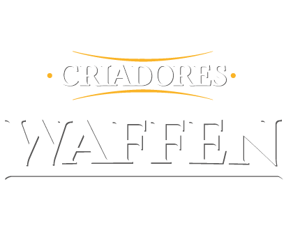 Waffen Criadores